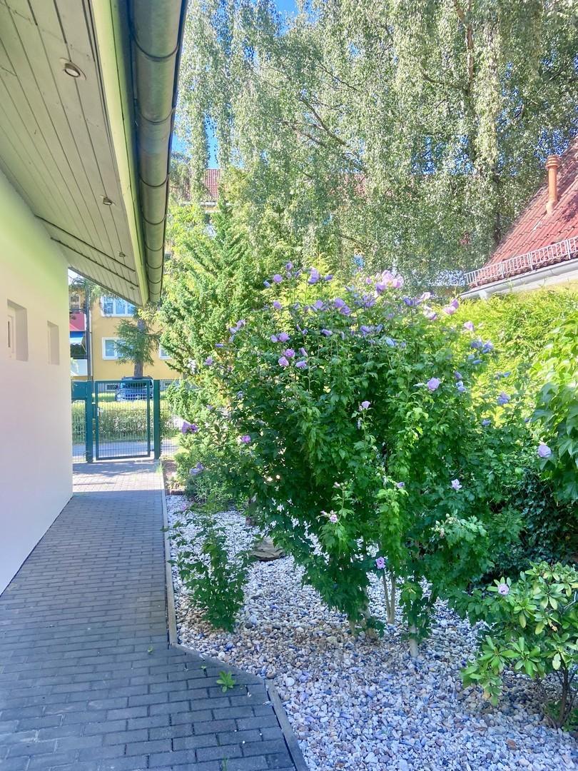 Blick Richtung Garten-Pforte
