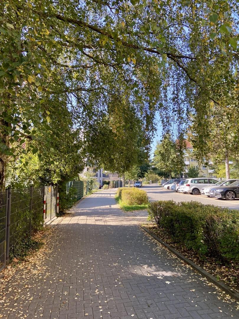 Straße Foto 1