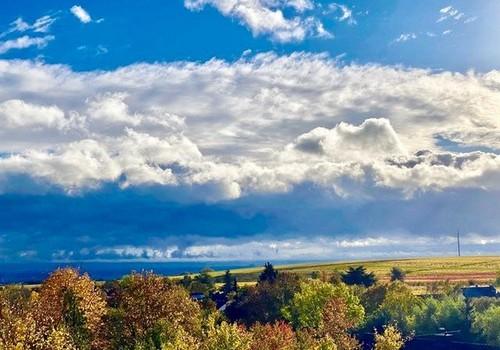 Blick in die Rheinebene bis HD