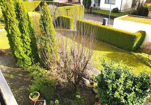 schöner Gartenbereich