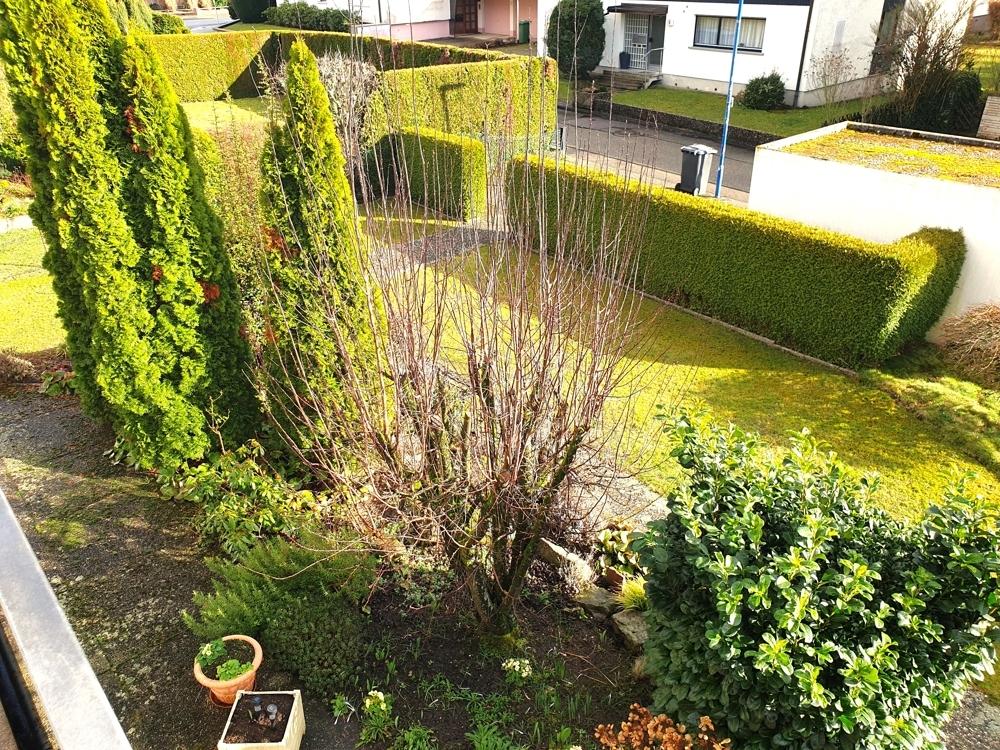 schöner Gartenbereich