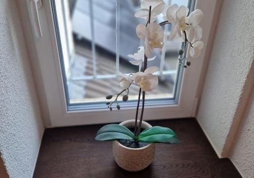 Blick in den Innenhof