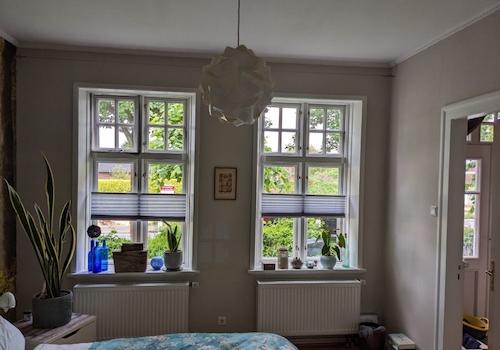 Zimmer EG Osten Fensterblick