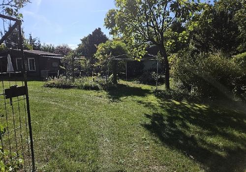 Blick in den Garten