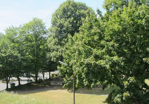 Blick v.d. Loggia in den Park