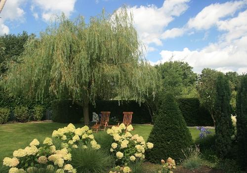 im Schatten des Weidenbaumes