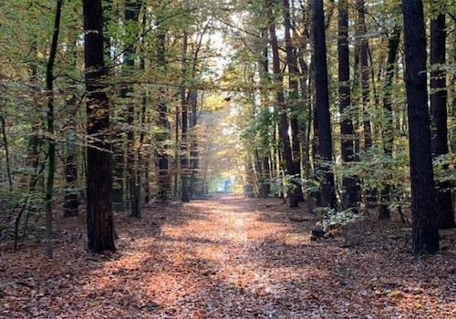 2068252e-13ee-4d7e-a35f-def9c6fe7a4a