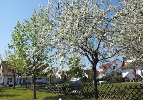 Blick von der Terrasse