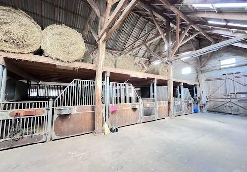 Stallgebäude mit Pferdeboxen