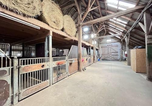 Tenne mit Pferdeboxen