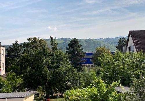 Ausblick in die Weinberge