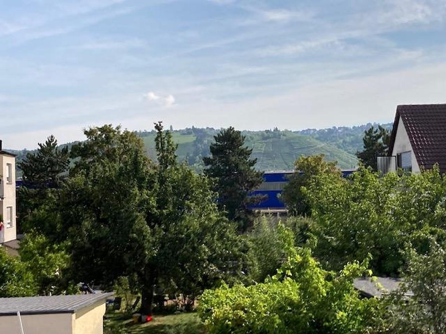 Ausblick in die Weinberge