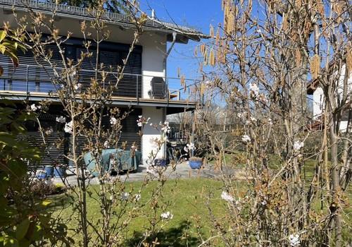 Aussenansicht Garten