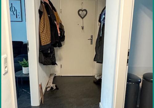 ...Flurbereiche mit Wohnungseingang