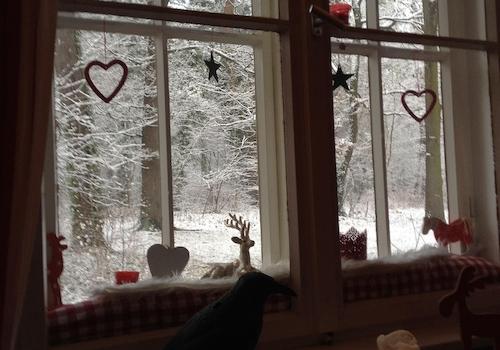 auf der Couch im Winter