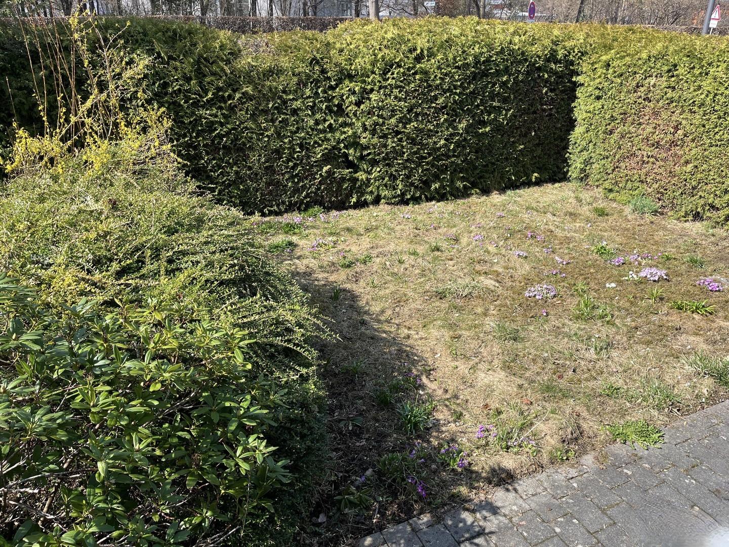 Vorgarten Strassenseite