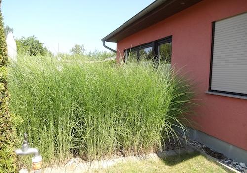 Rechte Vorderansicht