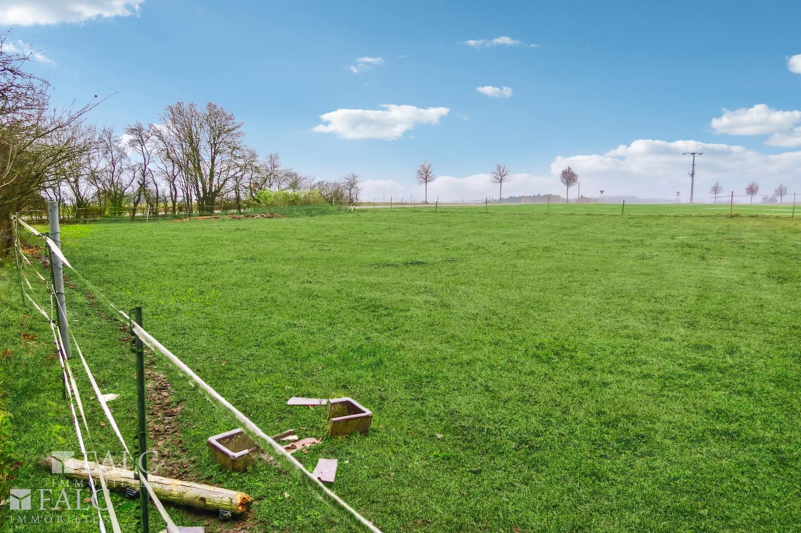 Wiese ca. 2000 m², eingezäunt