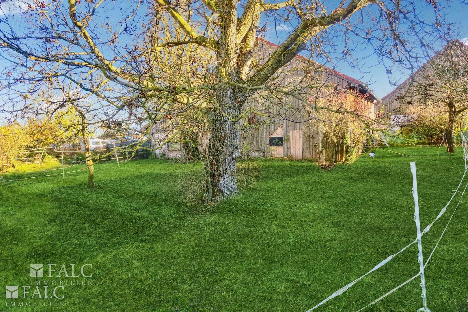 3000 Grundstück mit Garten