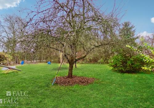 Obst- und Nuss- Garten