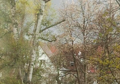 Blick vom Wohnzimmer