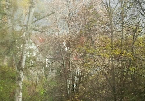 Blick vom Wohnzimmer