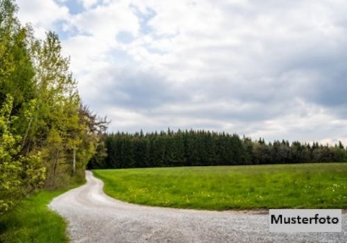 Keine Originalbilder