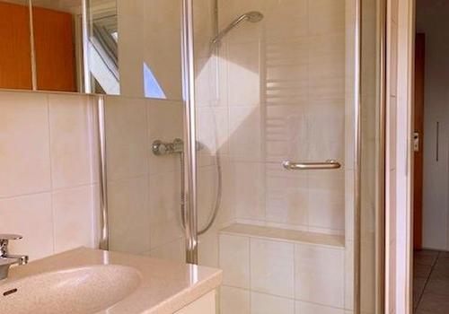 Tageslicht-Duschbad OG