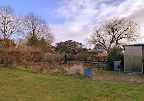 Nutzgarten mit alten Bäumen