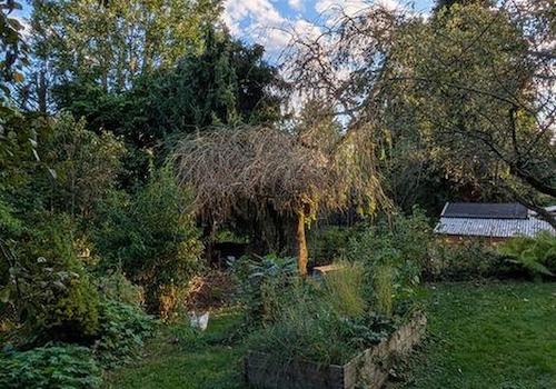 Hinterer Gartenabschnitt