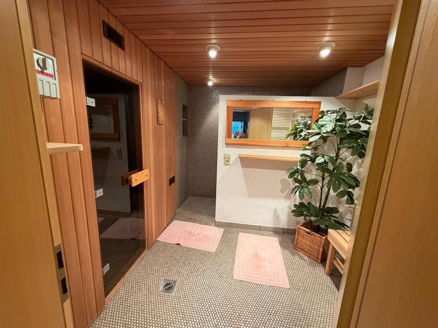 Sauna and Shower Basement