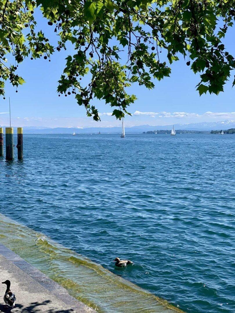 Nur wenige Meter vom See