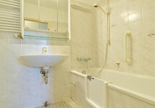 Dusch-Wanne (mit Tiefeinstieg)