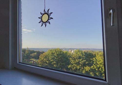 Schlz.,  Ausblick auf die Uni