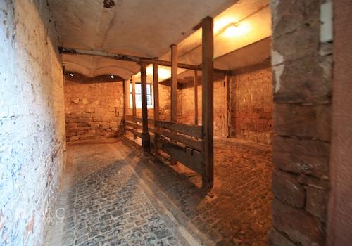 Scheune - Tierstellplätze