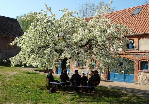 Kirschbaum Cover Kopie