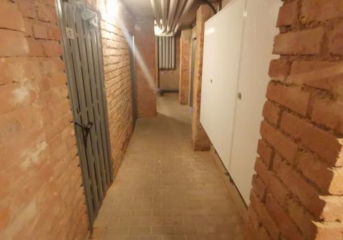 Aufgeräumter Kellerbereich