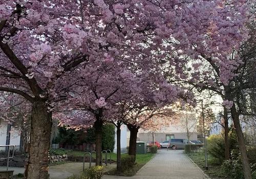 Frühling rund ums Haus