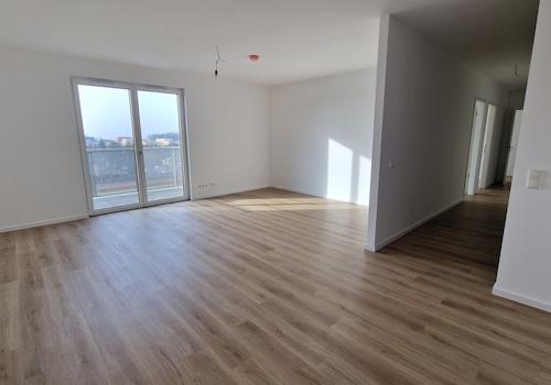 offener Wohn- Küchenbereich