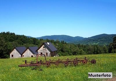 Keine Originalbilder