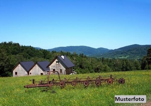 Keine Originalbilder