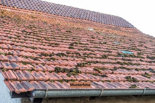 Keine Originalbilder