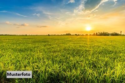 Keine Originalbilder