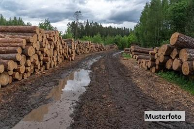 Keine Originalbilder