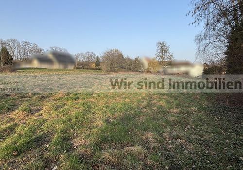 Blickrichtung: Norden / Straße