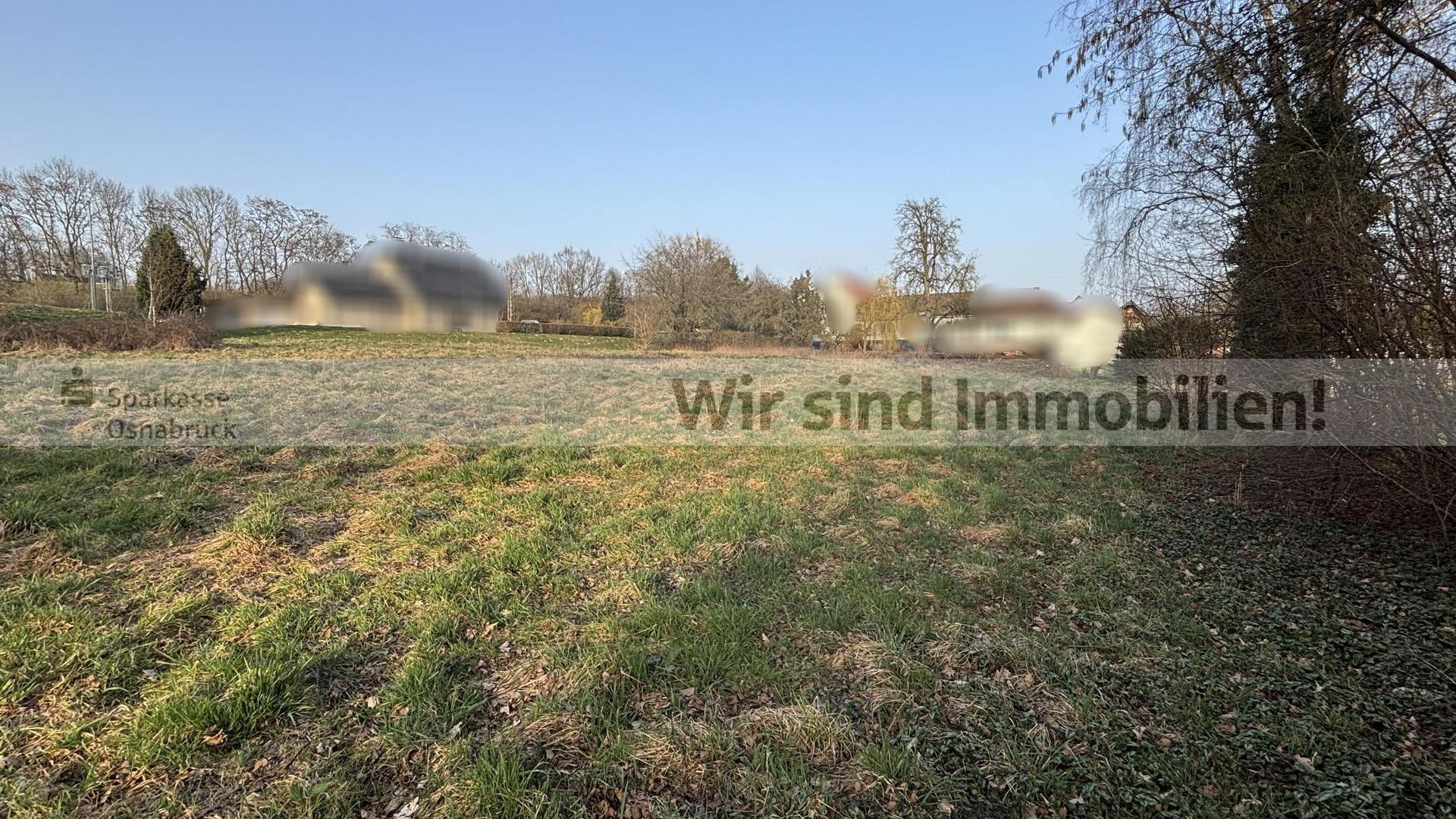 Blickrichtung: Norden / Straße