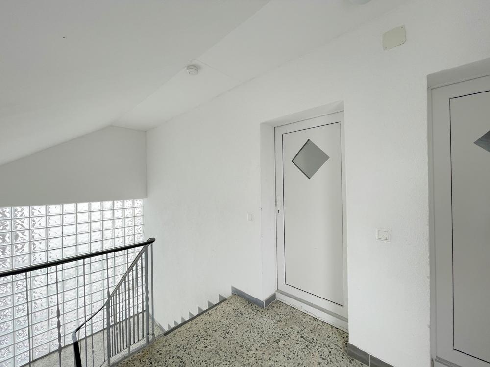 Freundlicher Treppenhausflur mit modernen Wohnungstüren