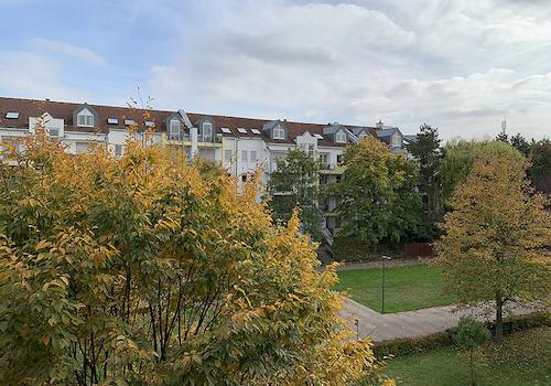 ... Weitblick ins Grüne