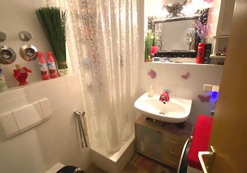 Dusche mit  Toilette und Waschbecken