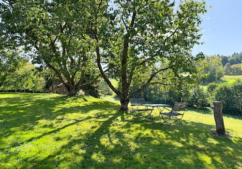 Blick vom Garten auf umliegende Wiesen